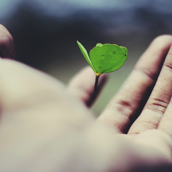 ravi-roshan-_AdUs32i0jc-unsplash